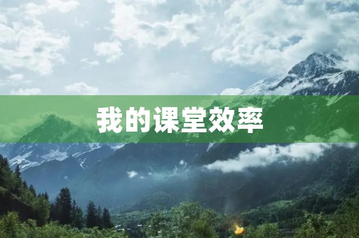我的课堂效率 我的课堂效率