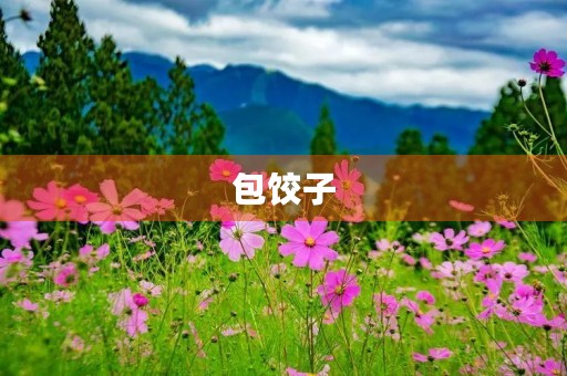 包饺子