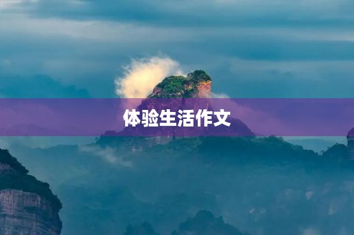 体验生活作文