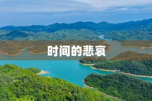 时间的悲哀 时间的悲哀