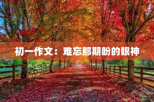 初一作文：难忘那期盼的眼神