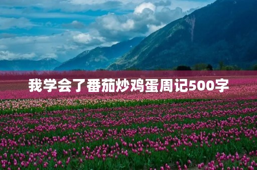 我学会了番茄炒鸡蛋周记500字 我学会了番茄炒鸡蛋周记500字