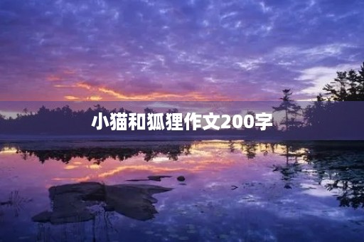 小猫和狐狸作文200字 小猫和狐狸作文200字
