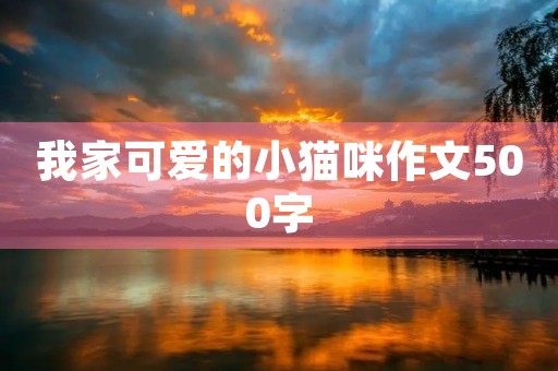 我家可爱的小猫咪作文500字