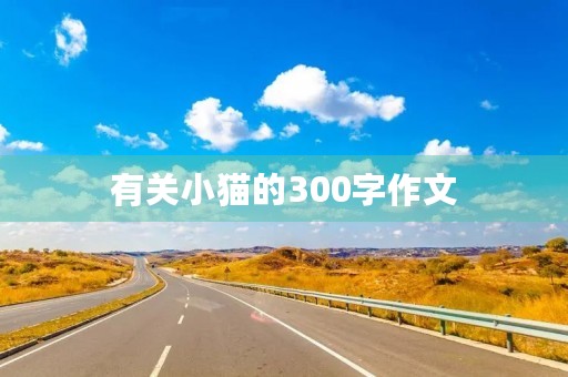 有关小猫的300字作文 有关小猫的300字作文