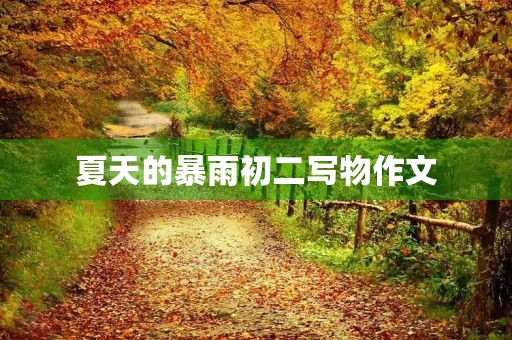 夏天的暴雨初二写物作文 夏天的暴雨初二写物作文