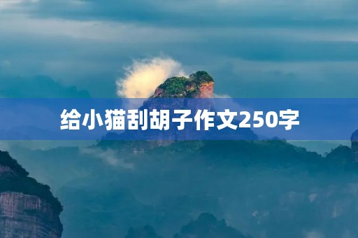 给小猫刮胡子作文250字