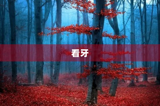 看牙 看牙