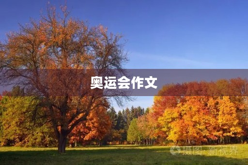 奥运会作文