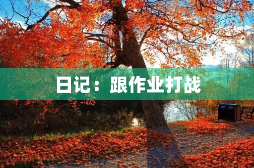日记:跟作业打战 日记:跟作业打战