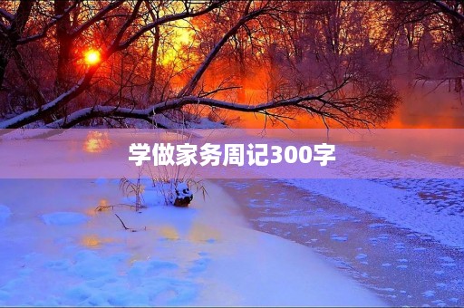 学做家务周记300字