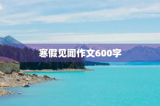 寒假见闻作文600字