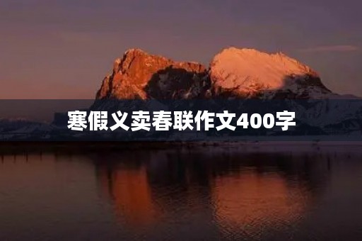 寒假义卖春联作文400字