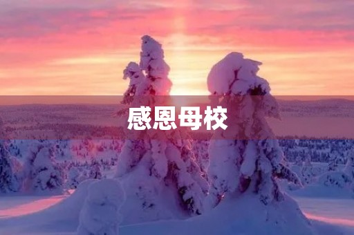 感恩母校 感恩母校