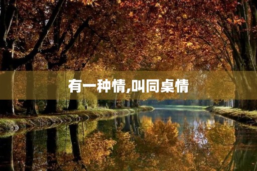 有一种情,叫同桌情 有一种情,叫同桌情