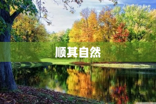 顺其自然 顺其自然