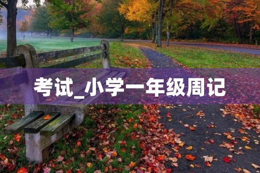 考试_小学一年级周记