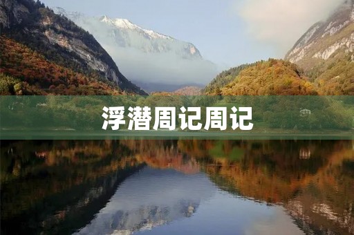 浮潜周记周记