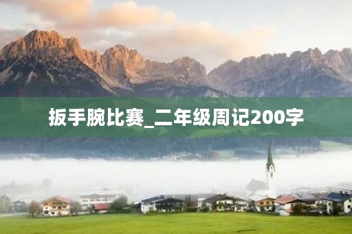 扳手腕比赛_二年级周记200字