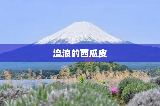 流浪的西瓜皮