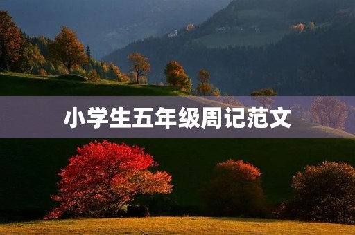 小学生五年级周记范文