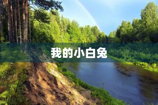 我的小白兔 我的小白兔
