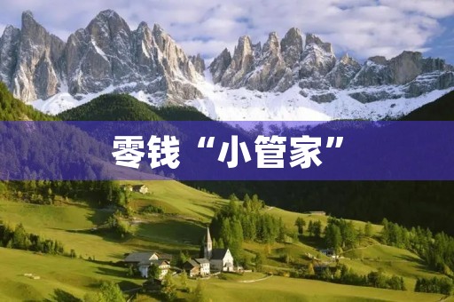 零钱“小管家” 零钱“小管家”