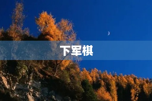 下军棋