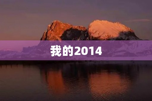 我的2014