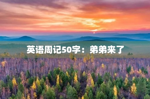 英语周记50字:弟弟来了 英语周记50字:弟弟来了