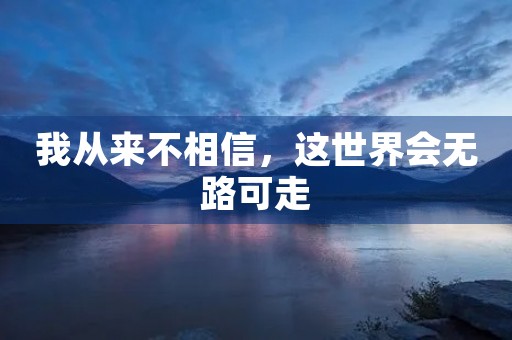 我从来不相信,这世界会无路可走 我从来不相信,这世界会无路可走
