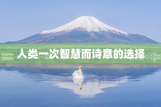 人类一次智慧而诗意的选择 人类一次智慧而诗意的选择