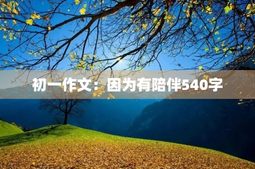 初一作文:因为有陪伴540字 初一作文:因为有陪伴540字