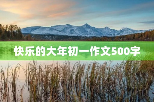 快乐的大年初一作文500字