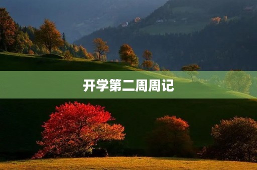 开学第二周周记