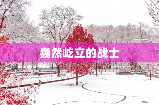 巍然屹立的战士 巍然屹立的战士