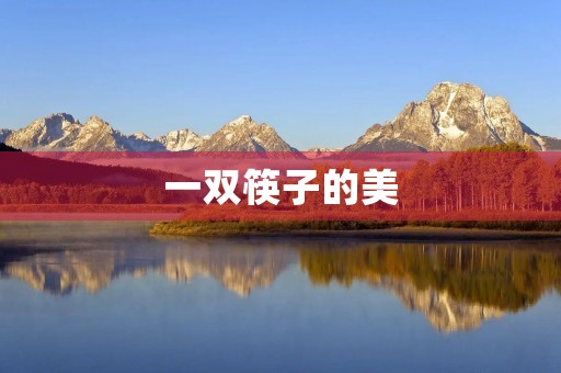 一双筷子的美