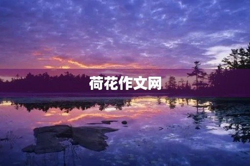 荷花作文网 荷花作文网