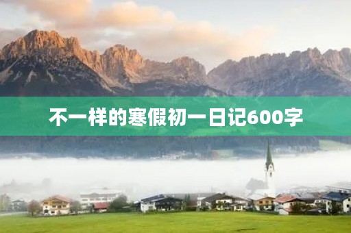 不一样的寒假初一日记600字
