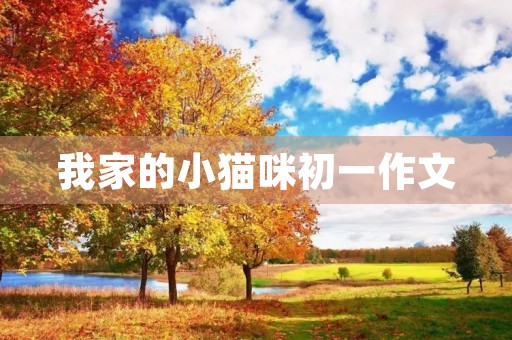 我家的小猫咪初一作文 我家的小猫咪初一作文