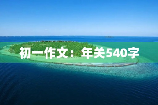 初一作文：年关540字