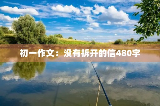 初一作文：没有拆开的信480字