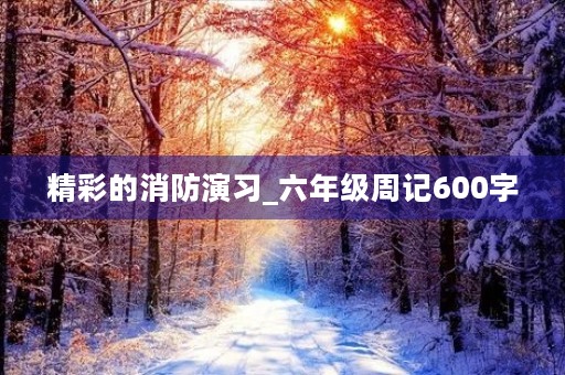 精彩的消防演习_六年级周记600字 精彩的消防演习_六年级周记600字