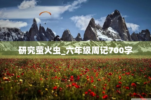 研究萤火虫_六年级周记700字 研究萤火虫_六年级周记700字
