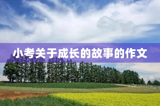 小考关于成长的故事的作文 小考关于成长的故事的作文