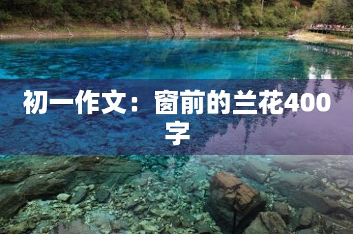 初一作文:窗前的兰花400字 初一作文:窗前的兰花400字