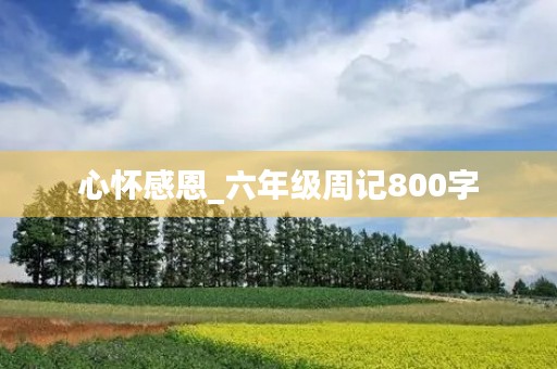 心怀感恩_六年级周记800字 心怀感恩_六年级周记800字