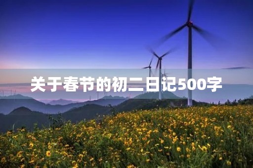关于春节的初二日记500字 关于春节的初二日记500字