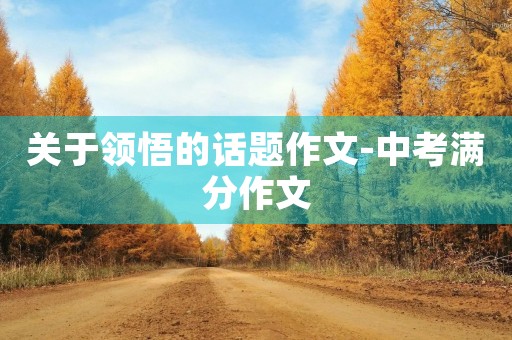 关于领悟的话题作文-中考满分作文