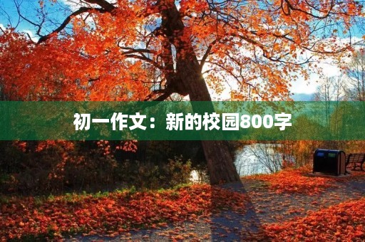 初一作文：新的校园800字